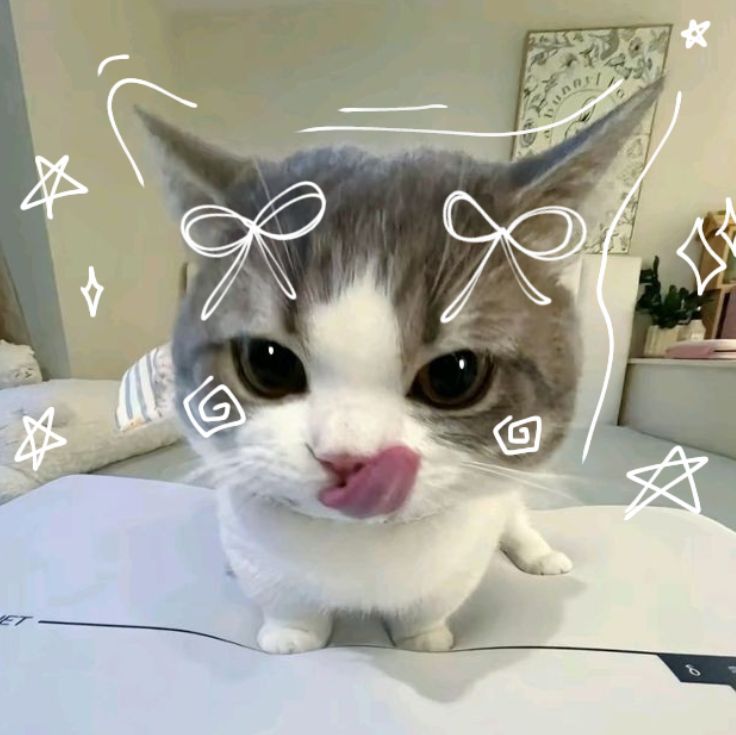 bzk9x's avatar